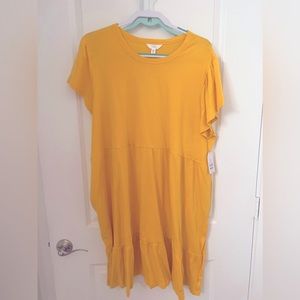 Time and Tru Dress 3X (22)